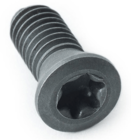 Dyson Torx screw
